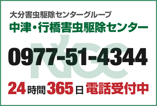 中津・行橋害虫駆除センター