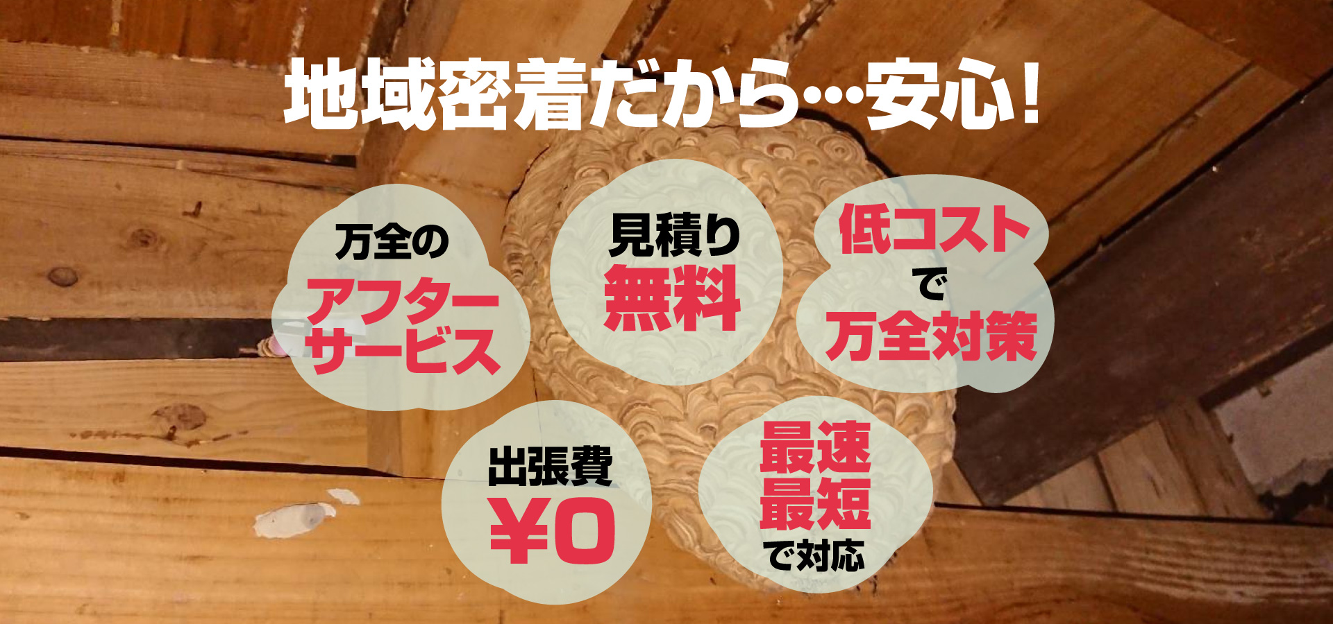 中津・行橋害虫駆除センター